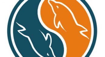 MySQL se actualiza para competir con las alternativas NoSQL