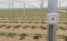 Cómo el IoT mejora la gestión del agua en España: Ahorro del 50% en el sector agrícola